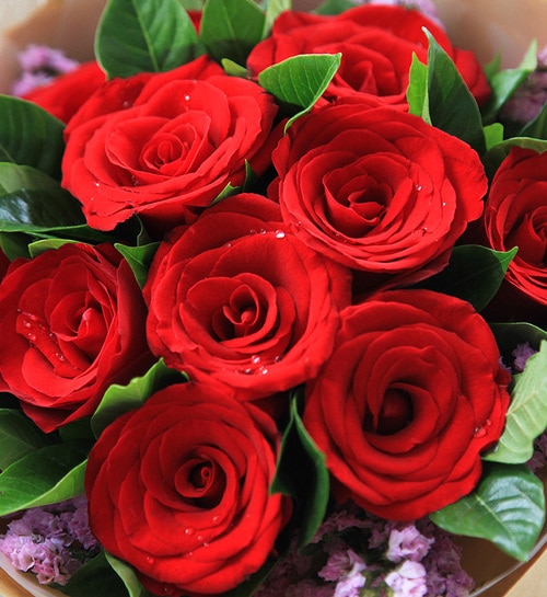 11 Stems Red Rose with Light Purple Statice - Angelic Flower